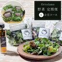 【ふるさと納税】【Ortolano】野菜 定期便(6か月コース)【配達不可:北海道・沖縄・離島】 | 野菜 やさい 食品 人気 おすすめ 送料無料