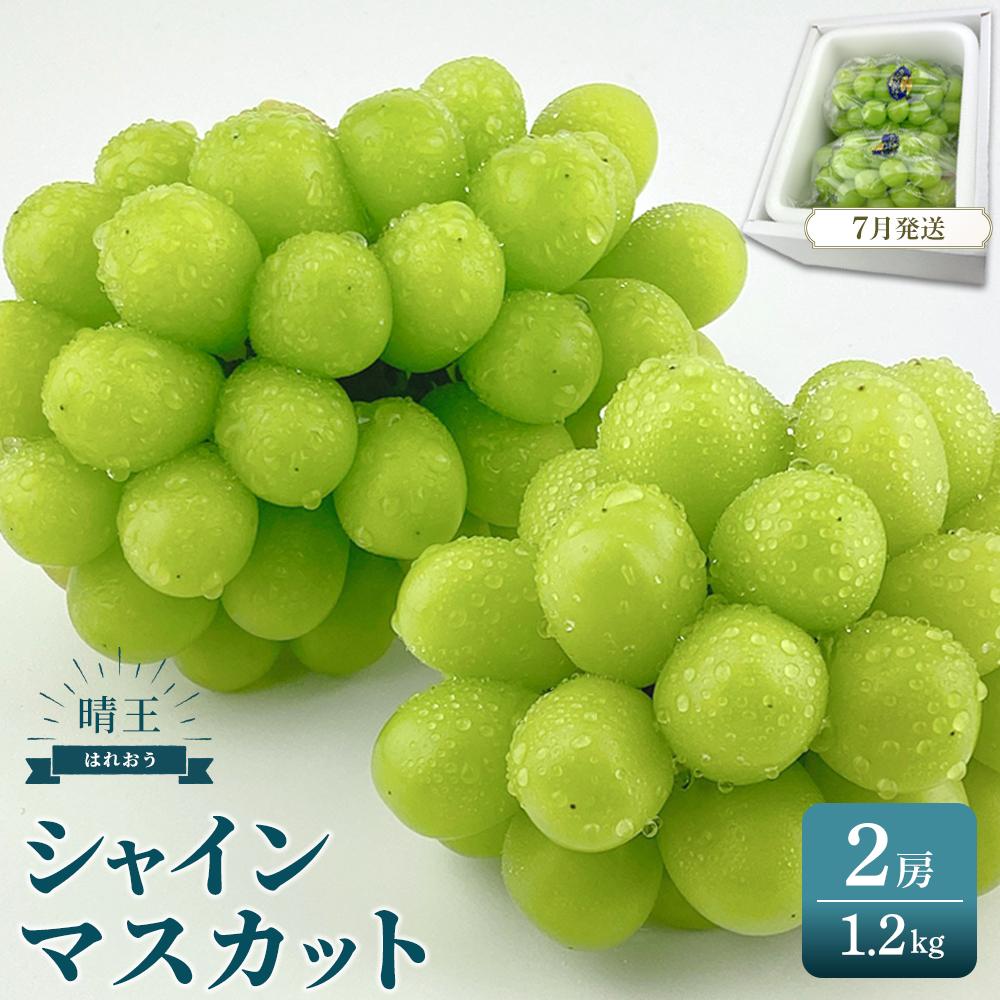 【ふるさと納税】2025年予約受付中 シャインマスカット 晴王 2房 約1.2kg 7月~8月にお届け シャインマスカット マスカット ぶどう 葡萄 岡山県産 赤秀品 種無し | フルーツ 果物 くだもの 食品 人気 おすすめ 送料無料