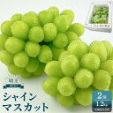 【ふるさと納税】2025年予約受付中 シャインマスカット 晴王 2房 約1.2kg 2回 定期便 7月・8月に1回ずつお届けシャインマスカット マスカット ぶど...