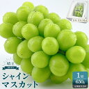 【ふるさと納税】2025年 先行予約 受付中 シャインマスカット 晴王 1房 約650g 2回 定期便 9月・10月に1回ずつ発送 岡山県産 種無し 皮ごと食べ...