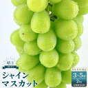 【ふるさと納税】2025年 先行予約 受付中 シャインマスカット 晴王 約2kg(3〜5房) 2回 定期便 9月・10月に1回ずつ発送 岡山県産 種無し 皮ご...
