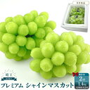 【ふるさと納税】2025年予約受付中 プレミアム シャインマスカット 晴王 2房約1.4kg 2回 定期便 9月・10月に1回ずつお届けシャインマスカット ぶど...