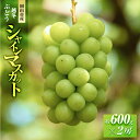 【ふるさと納税】五果苑 越冬ぶどう シャインマスカット 2房(1房約600g) | フルーツ 果物 くだもの 食品 人気 おすすめ 送料無料