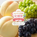 【ふるさと納税】フルーツ 定期便 2025年 先行予約 天晴れ おかやま 果物 定期便 (4) 白桃 1回 ニュー ピオーネ 1回/ シャイン マスカット 1回...