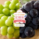 【ふるさと納税】フルーツ 定期便 2025年 先行予約 天晴れ おかやま 果物 定期便 (5) ニュー ピオーネ 1回/ シャイン マスカット 1回 合計2回お...