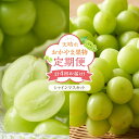 【ふるさと納税】フルーツ 定期便 2025年 先行予約 天晴れ おかやま 果物 定期便 (3) シャイン マスカット 4回お届け! 岡山県産 国産 セット ギフ...