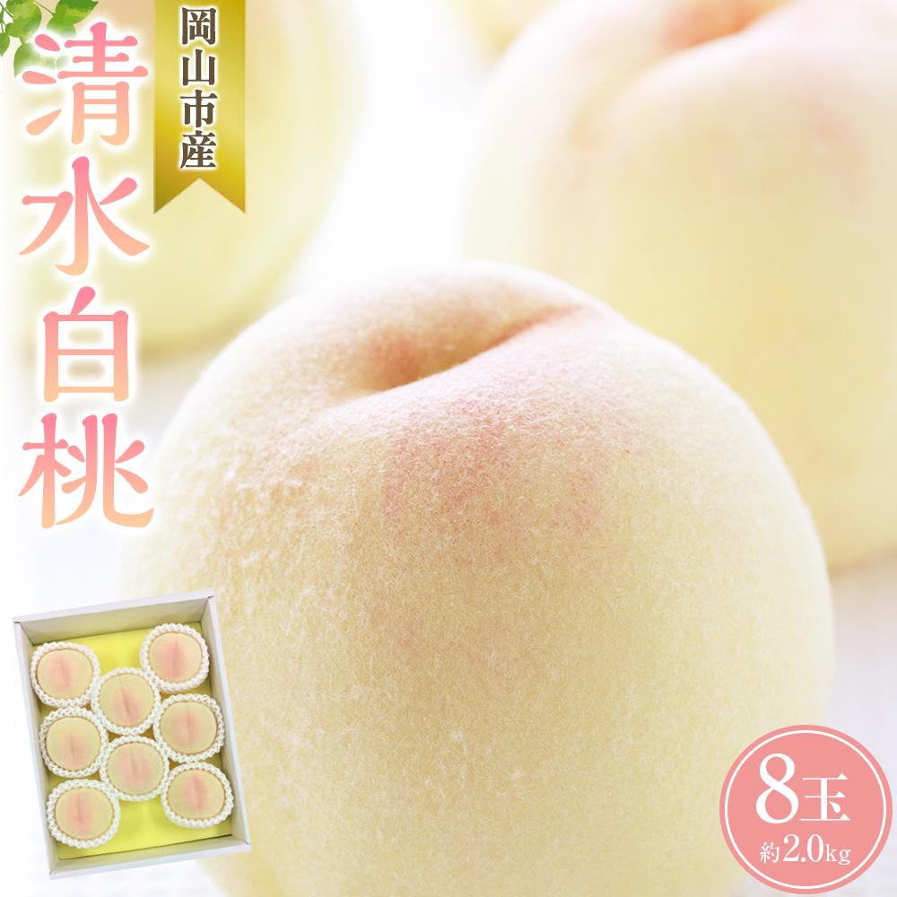 【ふるさと納税】桃 2025年 先行予約 清水 白桃 8玉 合計約2.0kg もも モモ 岡山市産 国産 フルーツ 果物 ギフト | もも フルーツ 果物 くだもの 食品 人気 おすすめ 送料無料
