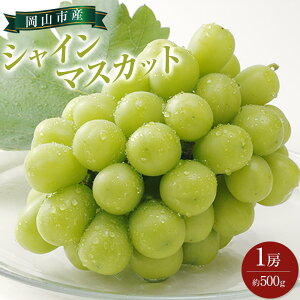 【ふるさと納税】ぶどう 2025年 先行予約 シャイン マスカット 1房 約500g ブドウ 葡萄 岡山市産 国産 フルーツ 果物 ギフト | フルーツ 果物 くだもの 食品 人気 おすすめ 送料無料