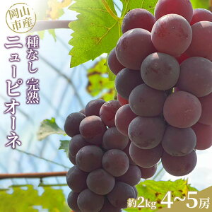 【ふるさと納税】ぶどう 2025年 先行予約 種なし完熟 ニューピオーネ 約2kg(4~5房)岡山市産 渡邊農園 | フルーツ 果物 くだもの 食品 人気 おすすめ 送料無料