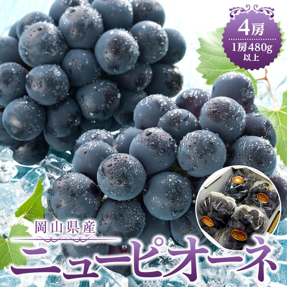 【ふるさと納税】ぶどう 2025年先行予約 岡山県産 ニューピオーネ4房(1房480g以上) | フルーツ 果物 くだもの 食品 人気 おすすめ 送料無料