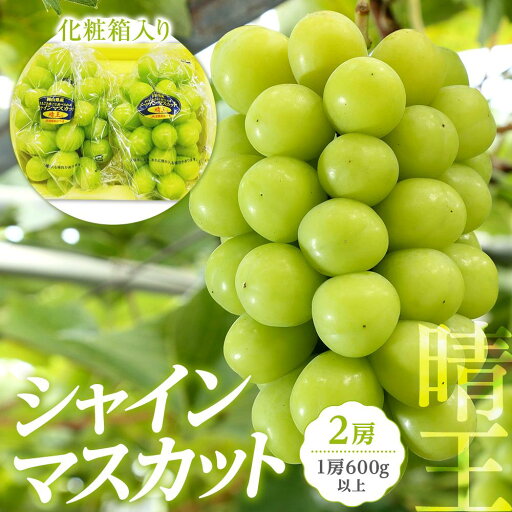 【ふるさと納税】ぶどう 2025年先行予約 岡山県産 シャインマスカット『晴王』2房 (1房600g以上) 化粧箱入り | フルーツ 果物 くだもの 食品 人気 おすすめ 送料無料 【ふるさと納税】ぶどう 2025年先行予約 岡山県産 シャインマスカット『晴王』2房 (1房600g以上) 化粧箱入り | フルーツ 果物 くだもの 食品 人気 おすすめ 送料無料