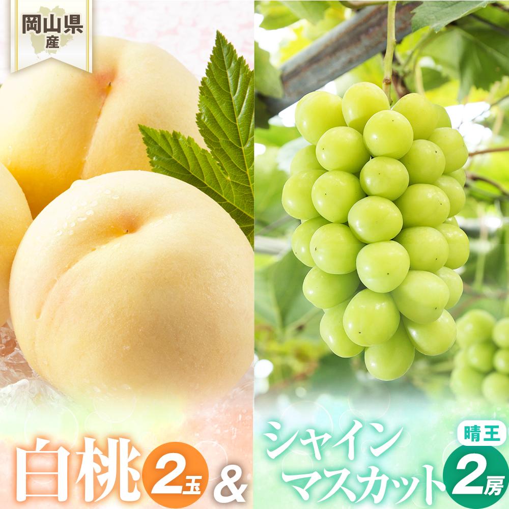 【ふるさと納税】桃 ぶどう 2025年先行予約 岡山県産 詰合/白桃2玉(1玉220g以上)・シャインマスカット『晴王』2房(1房480g以上) 化粧箱入り | フルーツ 果物 くだもの 食品 人気 おすすめ 送料無料