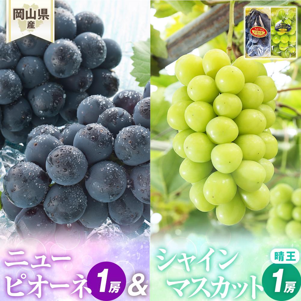 【ふるさと納税】ぶどう 2025年先行予約 岡山県産 詰合/ニューピオーネ1房(480g以上)・シャインマスカット『晴王』1房(480g以上) 化粧箱入り | フルーツ 果物 くだもの 食品 人気 おすすめ 送料無料