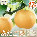 【ふるさと納税】梨 2025年先行予約 岡山県産 あたご梨 2玉(約1.7kg) 化粧箱入り | フルーツ 果物 くだもの 食品 人気 おすすめ 送料無料