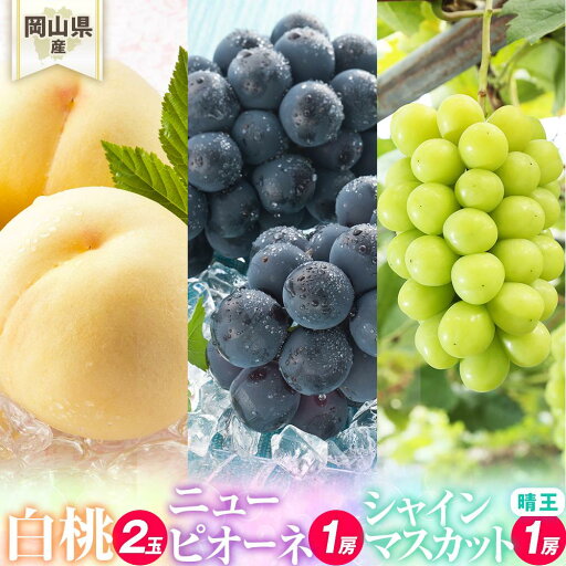 【ふるさと納税】桃 ぶどう 2025年先行予約 岡山県産 詰合/白桃2玉(1玉220g以上)・ニューピオーネ1房(480g以上)・シャインマスカット『晴王』1房(480g以上) 化粧箱入り | フルーツ 果物 くだもの 食品 人気 おすすめ 送料無料 【ふるさと納税】桃 ぶどう 2025年先行予約 岡山県産 詰合/白桃2玉(1玉220g以上)・ニューピオーネ1房(480g以上)・シャインマスカット『晴王』1房(480g以上) 化粧箱入り | フルーツ 果物 くだもの 食品 人気 おすすめ 送料無料