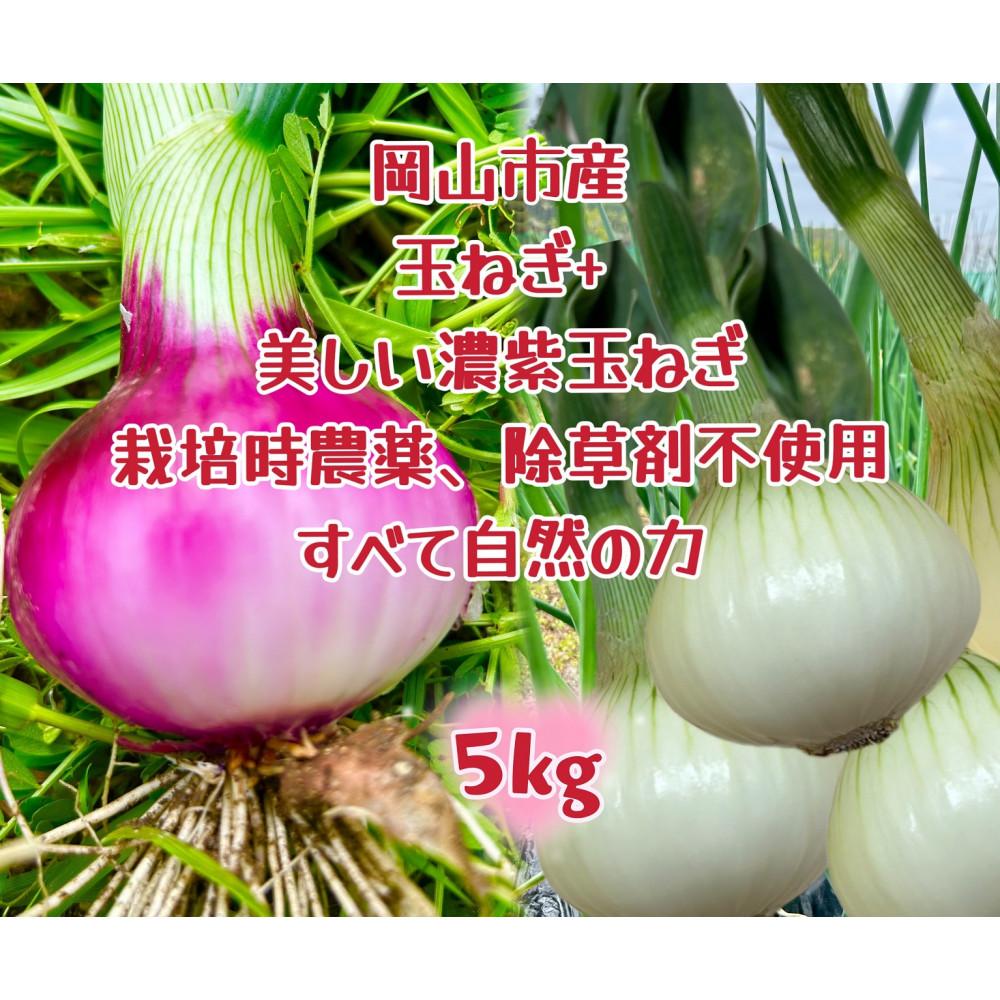 【ふるさと納税】岡山市産 みずみずしい玉ねぎ2.5kgと赤玉ねぎ2.5kgのセット(サイズ混合) | 野菜 やさい 食品 人気 おすすめ 送料無料