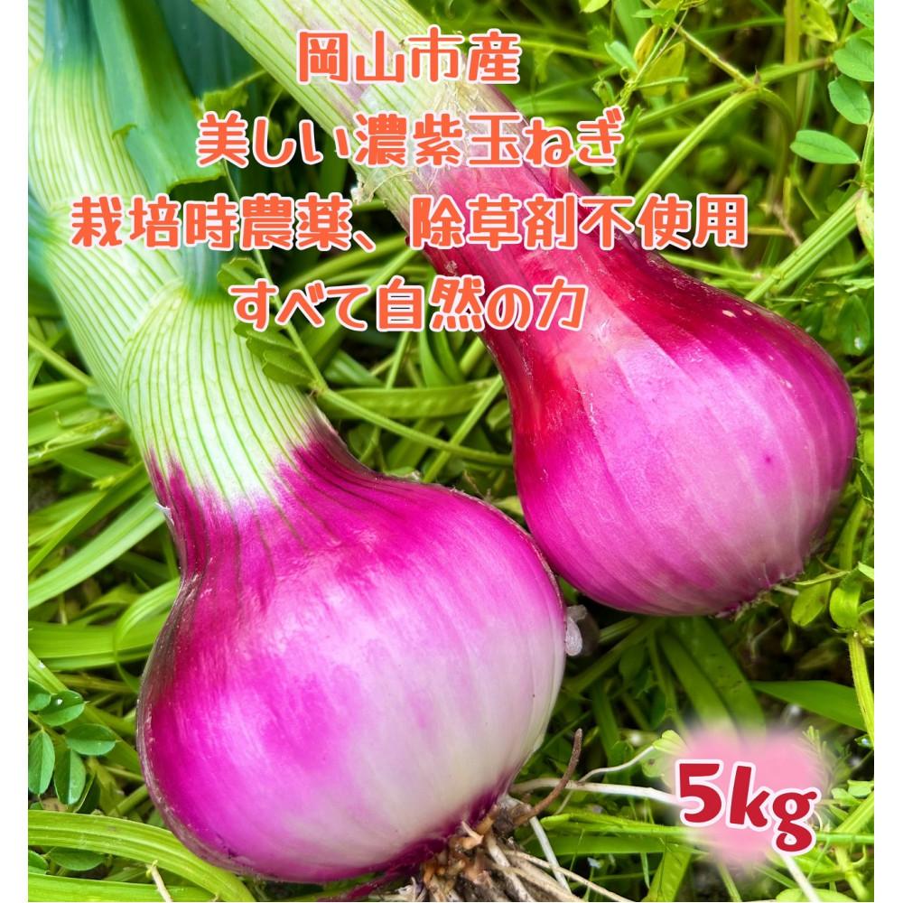【ふるさと納税】【先行予約】岡山市産 赤紫玉ねぎ5kg(サイズ混合)栽培期間中農薬・除草剤不使用自然の力健康野菜 | 野菜 やさい 食品 人気 おすすめ 送料無料