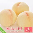 【ふるさと納税】桃 2026年6月下旬から発送 ご家庭用 岡山の 白桃(早生、中生種)約2.0kg 7~9玉 もも モモ フルーツ 果物 岡山市 一宮地区産 国産 赤木農園 | もも フルーツ 果物 くだもの 食品 人気 おすすめ 送料無料