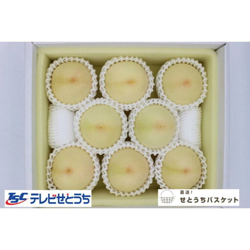 【ふるさと納税】【2025年発送】岡山白桃・晩生(ご家庭用)約1.9kg(6~9玉入り) | フルーツ 果物 くだもの 食品 人気 おすすめ 送料無料 【ふるさと納税】【2025年発送】岡山白桃・晩生(ご家庭用)約1.9kg(6~9玉入り) | フルーツ 果物 くだもの 食品 人気 おすすめ 送料無料