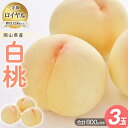 【ふるさと納税】桃 2025年 先行予約 白桃 3玉入り 等級: ロイヤル 糖度12.0度以上 合計800g前後 もも モモ 岡山県産 国産 フルーツ 果物 ギ...