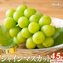 【ふるさと納税】シャインマスカット 2025年 先行予約 晴王 4〜5房 合計2.0kg前後 マスカット ブドウ 葡萄 岡山県産 国産 フルーツ 果物 ギフト ...