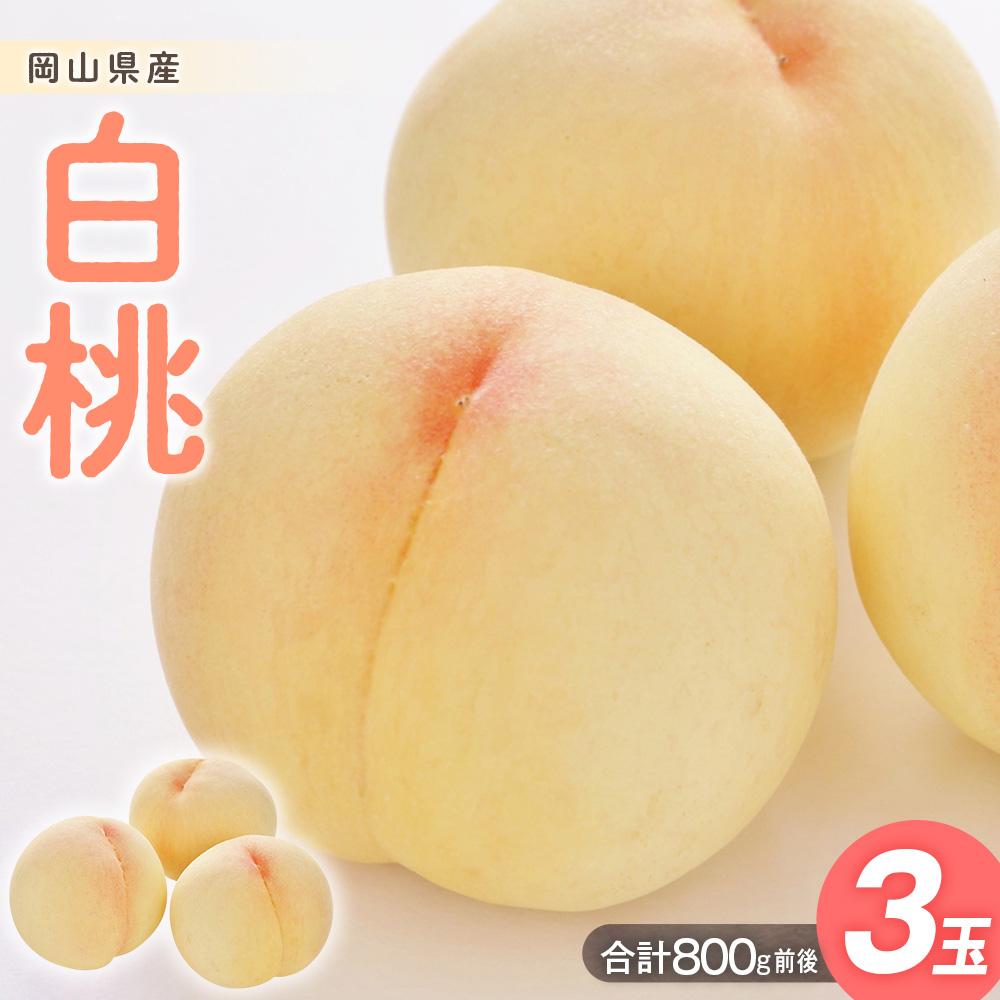 【ふるさと納税】桃 2025年 先行予約 白桃 3玉入り 合計800g前後 岡山県産もも モモ 岡山県産 国産 フルーツ 果物 ギフト | もも フルーツ 果物 くだもの 食品 人気 おすすめ 送料無料