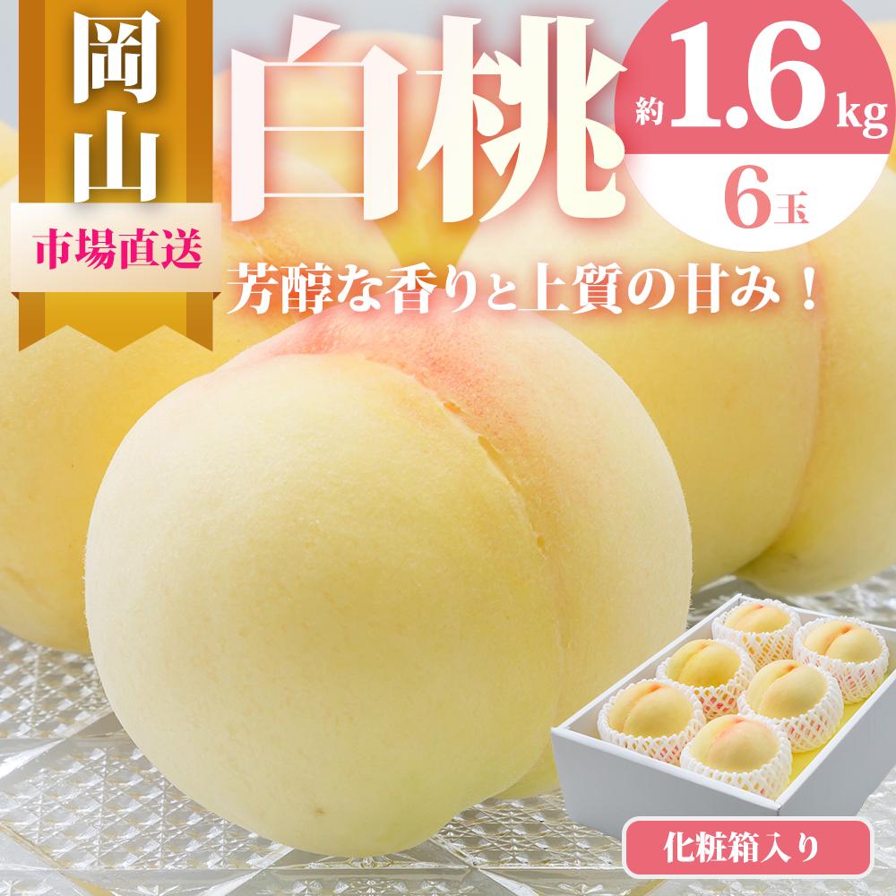 【ふるさと納税】桃 2026年 岡山 白桃 6玉(合計1.6kg以上)化粧箱入り もも モモ 岡山県産 国産 フルーツ 果物 ギフト | もも フルーツ 果物 ...