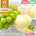 【ふるさと納税】桃 ぶどう 2025年 先行予約 果物 詰合せ 白桃 2玉(1玉220g以上)シャインマスカット 晴王 2房(1房480g以上)化粧箱入り もも...