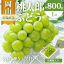 【ふるさと納税】ぶどう 2025年 先行予約 桃太郎 ぶどう 1房(800g以上)化粧箱入り ブドウ 葡萄 岡山県産 国産 フルーツ 果物 ギフト | フルーツ 果物 くだもの 食品 人気 おすすめ 送料無料