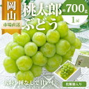 【ふるさと納税】ぶどう 2025年 先行予約 桃太郎 ぶどう 1房(700g以上)化粧箱入り ブドウ 葡萄 岡山県産 国産 フルーツ 果物 ギフト | フルーツ...