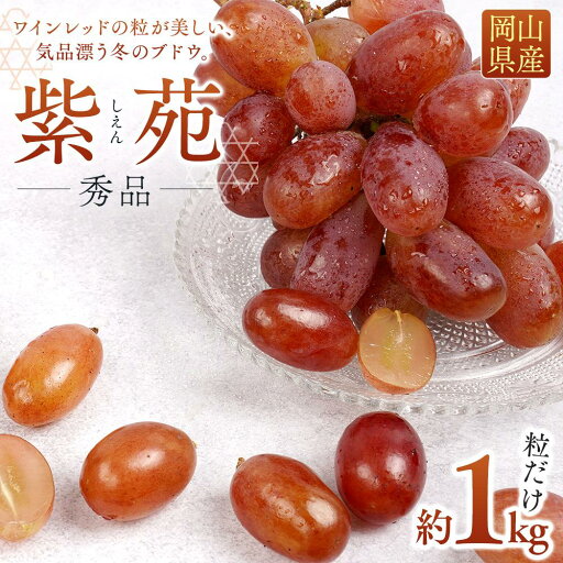 【ふるさと納税】ぶどう 2025年 先行予約 紫苑 秀品 粒だけ 約1kg 岡山 国産 果物 フルーツ 2025年10月上旬から発送 | フルーツ 果物 くだもの 食品 人気 おすすめ 送料無料 【ふるさと納税】ぶどう 2025年 先行予約 紫苑 秀品 粒だけ 約1kg 岡山 国産 果物 フルーツ 2025年10月上旬から発送 | フルーツ 果物 くだもの 食品 人気 おすすめ 送料無料