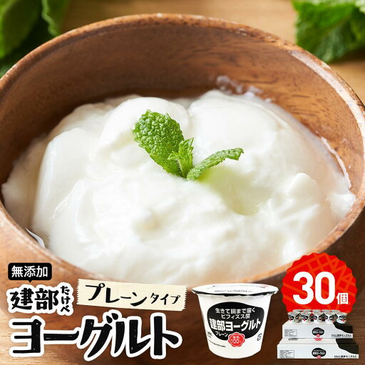 【ふるさと納税】無添加 建部ヨーグルト(プレーンタイプ)30個 | お菓子 菓子 おかし デザート 食品 人気 おすすめ 送料無料 【ふるさと納税】無添加 建部ヨーグルト(プレーンタイプ)30個 | お菓子 菓子 おかし デザート 食品 人気 おすすめ 送料無料