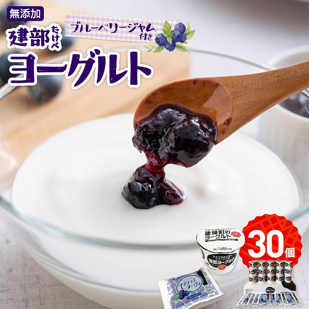 【ふるさと納税】無添加 建部ヨーグルト(ブルーベリージャム付き)30個 | お菓子 菓子 おかし デザート 食品 人気 おすすめ 送料無料