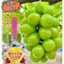 【ふるさと納税】ぶどう 2025年 先行予約 訳あり シャインマスカット 約1kg 岡山 国産 果物 フルーツ シャイン マスカット 2025年7月中旬から発送 | フルーツ 果物 くだもの 食品 人気 おすすめ 送料無料