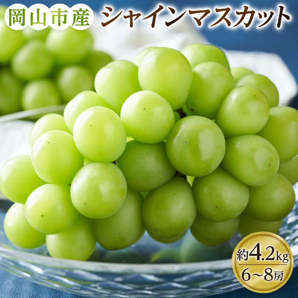 楽天市場】シャインマスカット ボンボン(食品)の通販 楽天市場】シャインマスカット ボンボン(食品)の通販