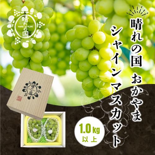 【ふるさと納税】岡山県産 シャインマスカット 1kg以上(2~3房)<2025年9月上旬~10月下旬発送> | シャインマスカット 岡山 シャイン マスカット 岡山県 ぶどう 葡萄 数量限定 果物 フルーツ 送料無料 詰め合わせ セット くだもの 食品 人気 おすすめ 送料無料