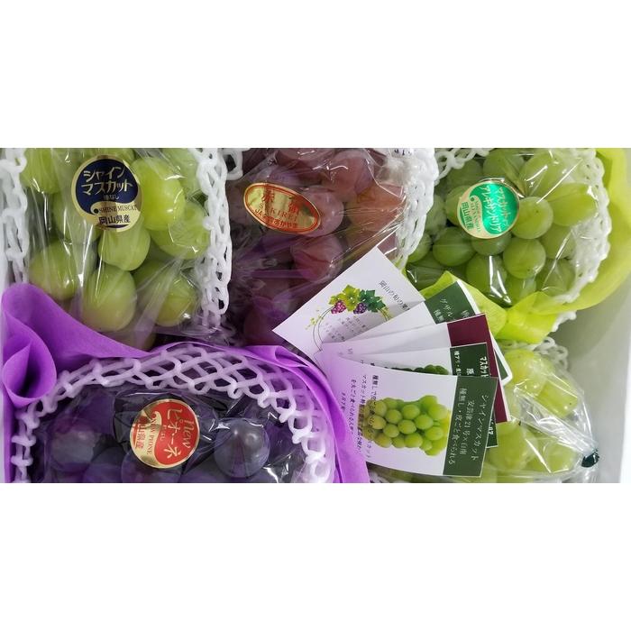 【ふるさと納税】2026年 くぼ農園 ぶどう セレクション 4〜5房(合計約3.0kg) | フルーツ 果物 くだもの 食品 人気