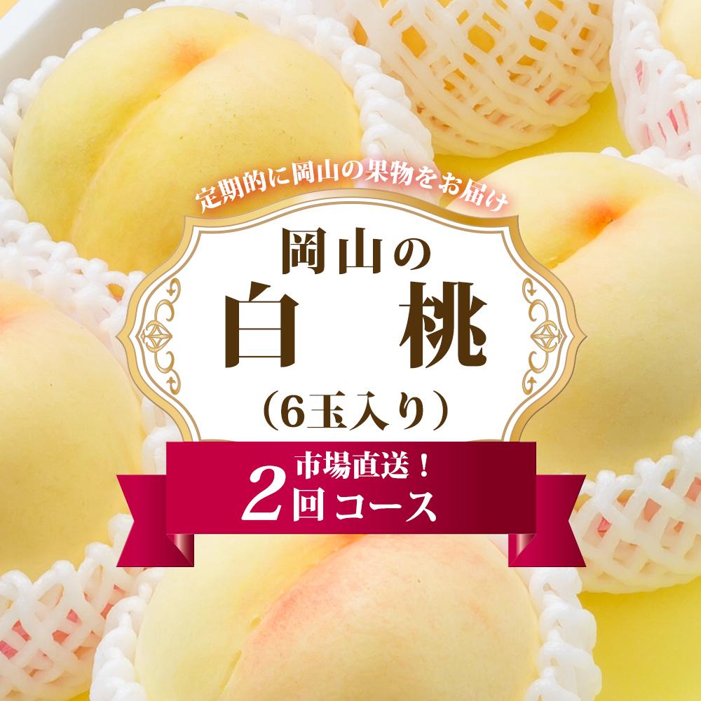 【ふるさと納税】桃 定期便 2026年 岡山 の 白桃 6玉 合計1.6kg以上×2回 お届け 化粧箱入り もも モモ 岡山産 国産 フルーツ 果物 ギフト |...