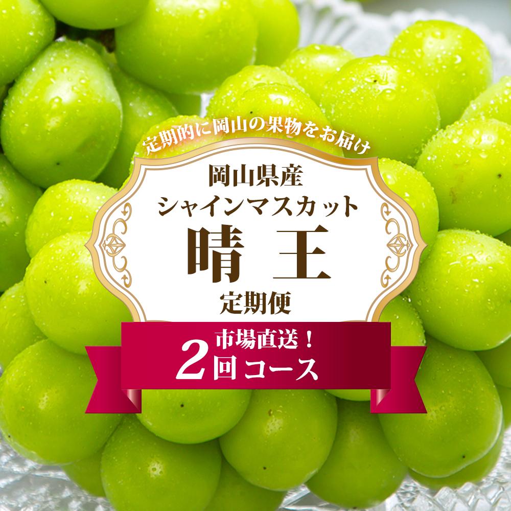 【ふるさと納税】ぶどう 定期便 2025年 先行予約 シャイン マスカット 晴王 各月2房(1房600g以上) 2回コース マスカット ブドウ 葡萄 岡山県産 国産 フルーツ 果物 ギフト | フルーツ 果物 くだもの 食品 人気