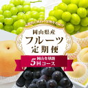 【ふるさと納税】フルーツ 定期便 2025年 先行予約 フルーツ王国 岡山を堪能 5回コース 桃 もも 葡萄 ぶどう 梨 なし岡山県産 国産 果物 セット ギフ...