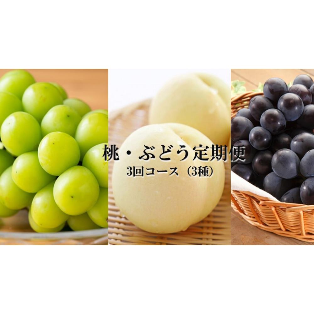 【ふるさと納税】桃 ぶどう 定期便 2025年 先行予約 晴れの国 岡山 の フルーツ 定期便 3回コース もも モモ 葡萄 ブドウ 岡山県産 国産 セット ギフト | もも フルーツ 果物 くだもの 食品 人気 おすすめ 送料無料
