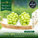 【ふるさと納税】ぶどう 2025年 先行予約 シャイン マスカット 1房 または 2房 (700g~1.3kg以上)【第1回全国ぶどう選手権入賞】 | シャインマスカット マスカット ブドウ 葡萄 フルーツ 果物 くだもの 贈答用 ギフト 岡山県 岡山市 おすすめ 人気