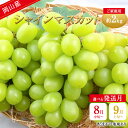 【ふるさと納税】ぶどう 2025年 先行予約 ご家庭用 シャイン マスカット 約2kg 糖度抜群! 【選べる配送時期】 ブドウ 葡萄 岡山県産 国産 フルーツ 果物 | フルーツ 果物 くだもの 食品 人気 おすすめ 送料無料