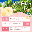 岡山県岡山市の画像3