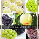 【ふるさと納税】【全6回コース】2026年 岡山県産 旬のフルーツ定期便 | フルーツ 果物 くだもの 食品 人気 おすすめ 送料無料