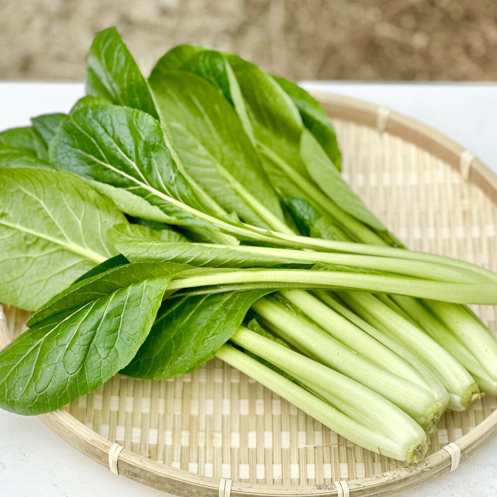 【ふるさと納税】岡山県産 新鮮小松菜 900g 栄養満点の健康野菜