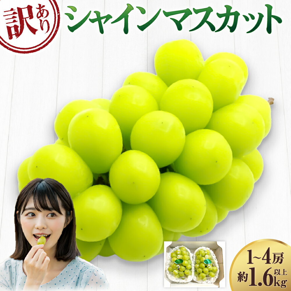 【ふるさと納税】【訳あり】ご家庭用 シャインマスカット 1～4房（約1.6kg以上） 種なし ブドウ ...