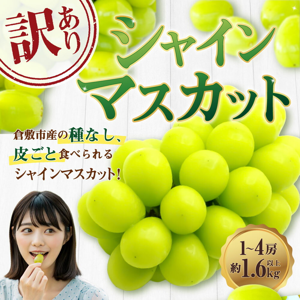 【ふるさと納税】【訳あり】ご家庭用 シャインマスカット 1～4房（約1.6kg以上） 種なし ブドウ ぶどう 葡萄 くだもの 果物 果実 フルーツ 冷蔵 岡山県産 国産 岡山県 倉敷市 送料無料 【2026年9月上旬～10月下旬迄発送予定】 10000円 1万円