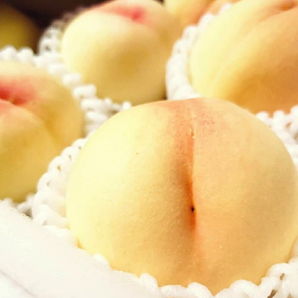 【ふるさと納税】《訳あり》家庭用 清水白桃 約2kg（6～8玉） もも モモ 岡山県 倉敷市 産 国産 フルーツ 果物 花田青果　果物・もも・桃・フルーツ　【2026年7月上旬～7月下旬迄順次発送予定】