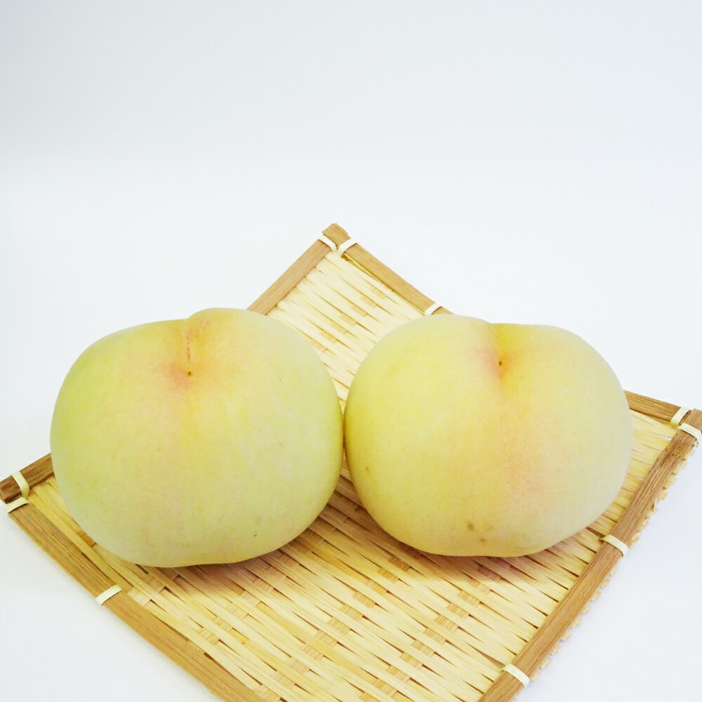 【ふるさと納税】白桃 約2kg（6～10玉） 早生 中生種 桃 もも モモ 岡山県 倉敷市 産 国産 フルーツ 果物 ギフト 花田青果　果物・もも・桃・フルーツ　【2026年6月下旬～7月下旬迄順次発送予定】